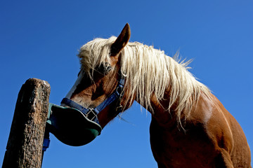 Durstig © Turbowerner