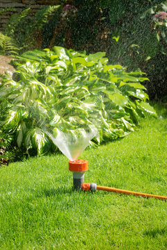 sprinkler