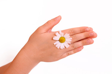 hände,margeritte