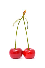 Cherry on white background