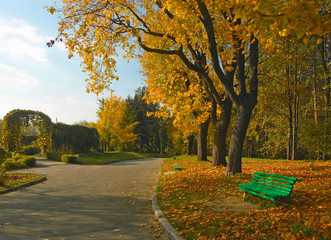 Autumn in the park