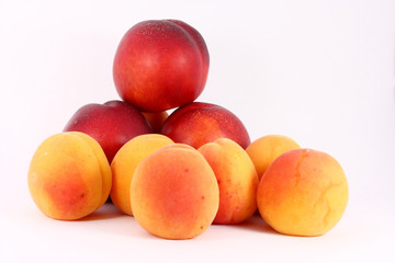 Fototapeta na wymiar Apricots and nectarines