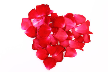 valentinstag,herz
