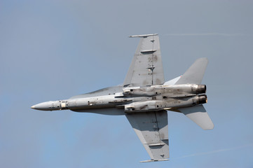 Fototapeta na wymiar F-18 Hornet wojskowego odrzutowca
