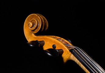 Violinendetail, Schnecke und Griffbrett