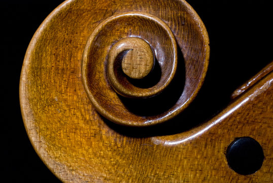 Geigendetail - Schnecke