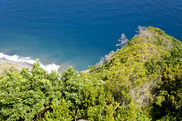 madeira