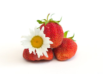 Strawberry and camomile