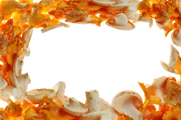 Backgrounds of Mushroom