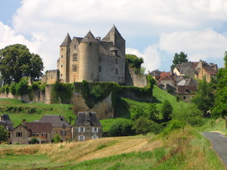 Fototapeta na wymiar Salignac i zamek Périgord, Limousin,