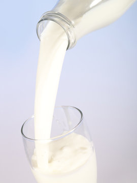Milky stream. Glass and bottle of the milk