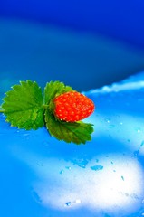 strawberry of blue