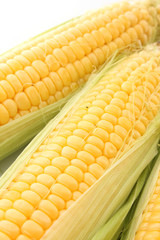 Three corns isolated on white