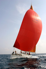 Fototapeta premium Roter