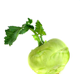 Kohlrabi isolated nb.6