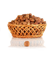 hazelnuts isolated nb.8