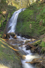 Fototapeta na wymiar Coal Creek Falls