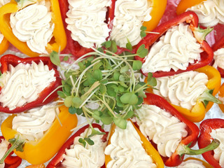 trennkost  diet