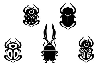 Set of black beetles - obrazy, fototapety, plakaty