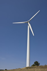 Wind Turbine on Blue Sky