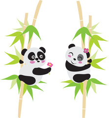 Panda Love