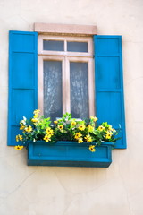 Window with flower box
