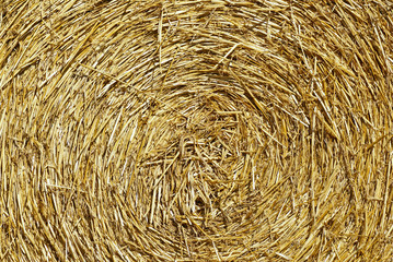 fond de texture paille pressée