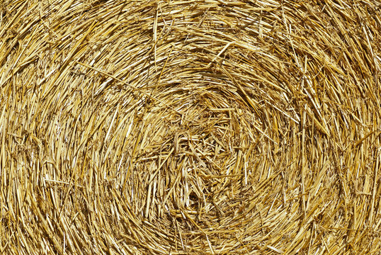 fond de texture paille press&eacute;e