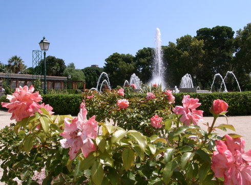 Rosaleda y fuente