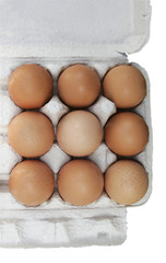 Eggs in box