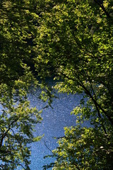 Fototapeta premium Relaxing at the lake 