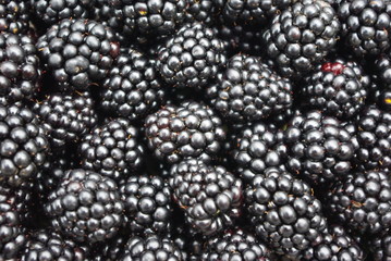 Beeren