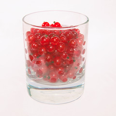 redcurrant