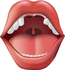 Naklejka premium Missing Teeth