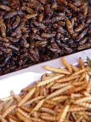 Thailand food stalls - fried insects nb.10