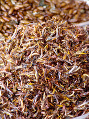 Thailand food stalls - fried insects nb.15