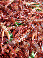 Thailand food stalls - fried insects nb.30