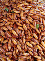 Thailand food stalls - fried insects nb.36