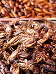 Thailand food stalls - fried insects nb.38
