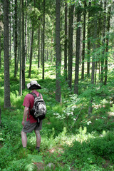 Hiker in the forest