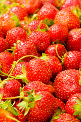 Lots of strawberries arranged as the background