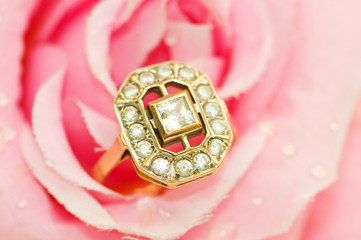 Golden ring against pink rose