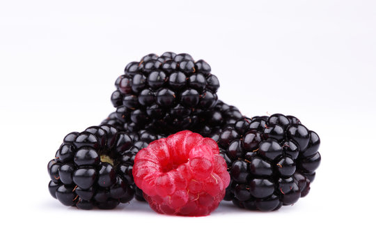 The blackberry and raspberry