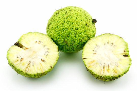 Sliced Osage Oranges (Maclura) Isolated on White