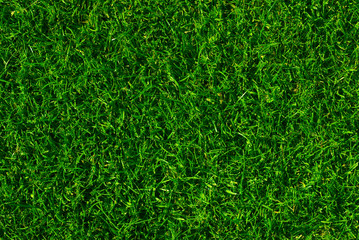 texture de fond en gazon vert - green ou pelouse tondue