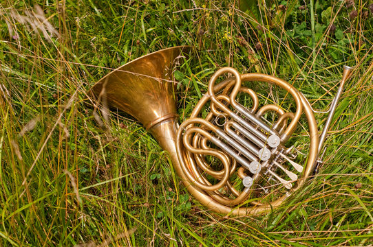 Brass Horn in Grass
