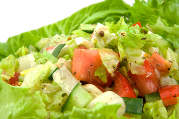 Fresh lettuce on white background