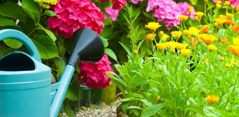 jardiner - arrosoir sur fond de fleurs, jardinage dans le jardin