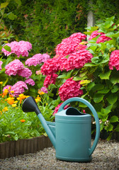arroser son jardin de fleurs - jardiner - arrosage des plantes © Olivier Le Moal