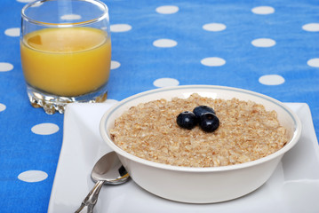 oatmeal with blueberries focus on berries